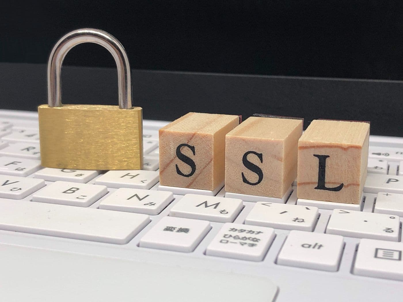 格安SSL証明書発行